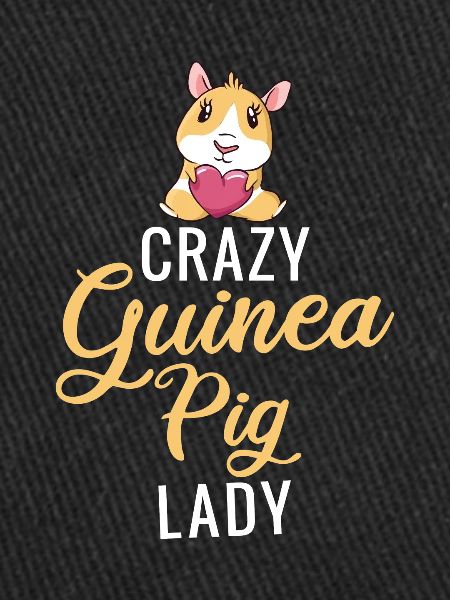 Cadeau de cochon d’Inde mignon