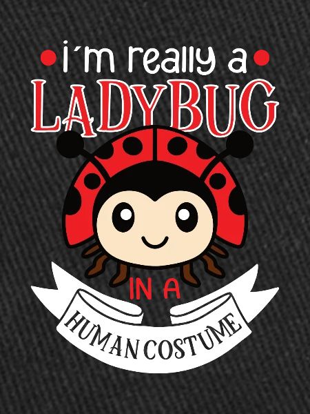Ladybug Ladybug Entomology Insects