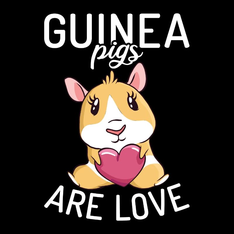 Cadeau mignon cochon d’Inde