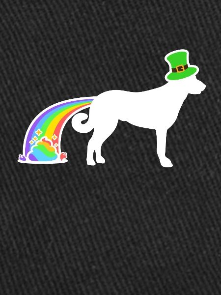 Chien de Saint-Patrick - Berger d’Anatolie
