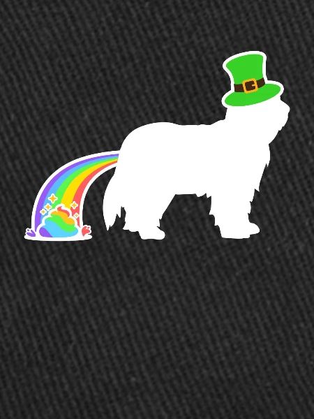 St. Patrick’s Dog - Collie barbu