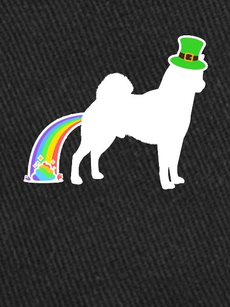 Chien de Saint-Patrick - Shiba Inu