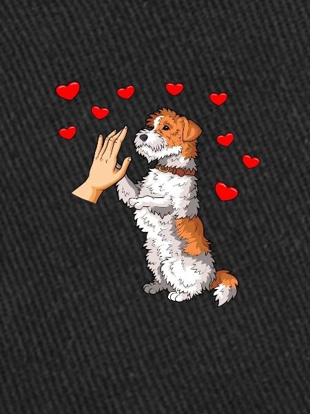 Wirehaired Fox Terrier Dog