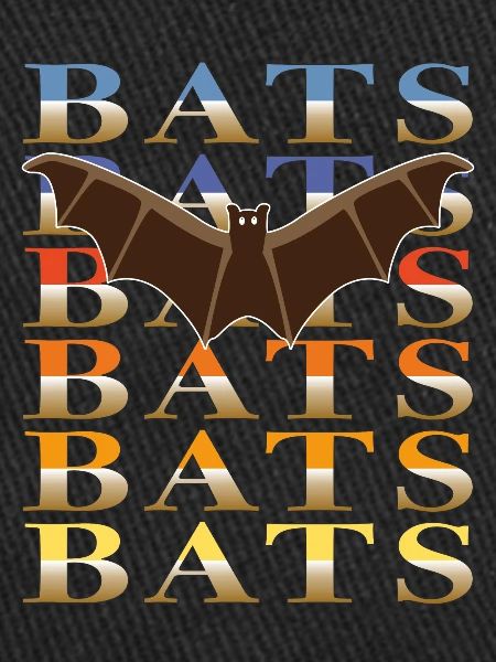 FLEDERMÄUSE BATS
