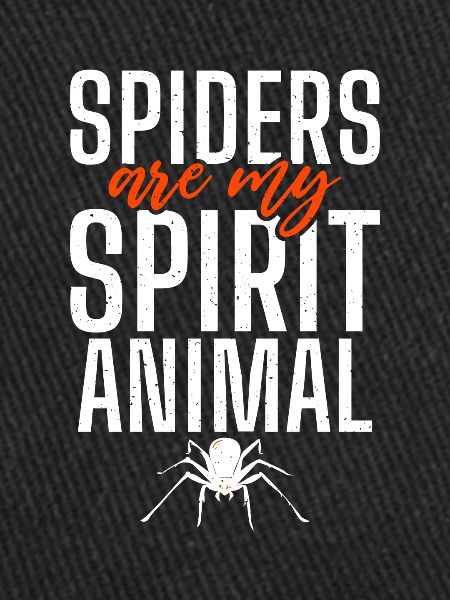 Spider Lover Gifts
