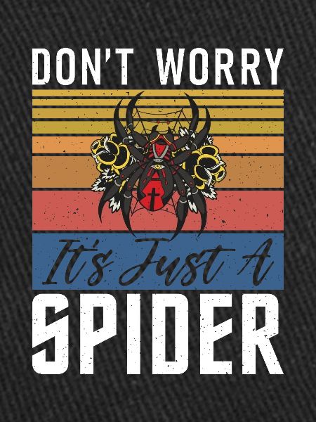 Spider Lover Gifts