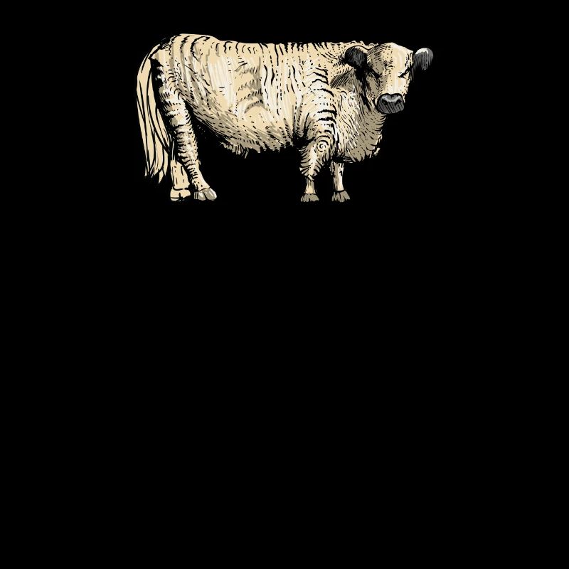 Bovins Galloway I Ecosse élevage bovin pour