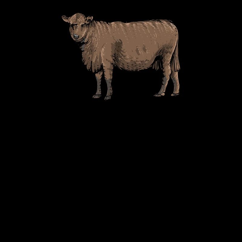 Bovins Galloway I Ecosse élevage bovin pour