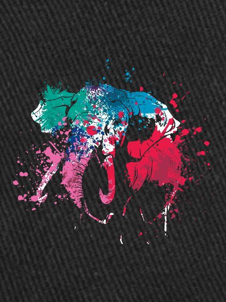 Splash Art Eléphants