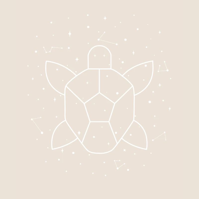 Constellation Aquatic Turtle constellation