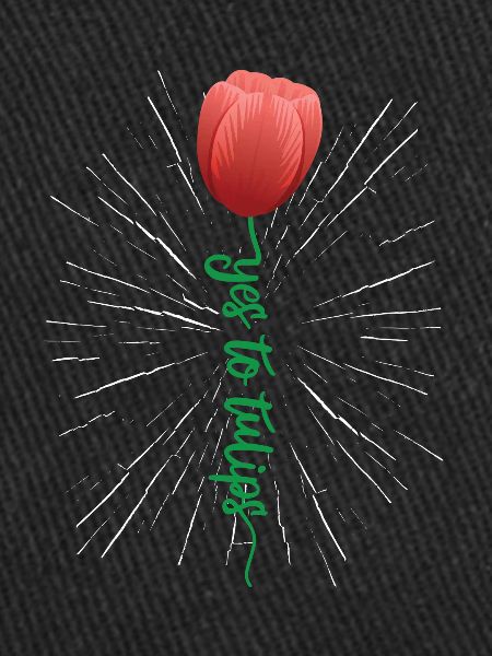Tulips Tulips