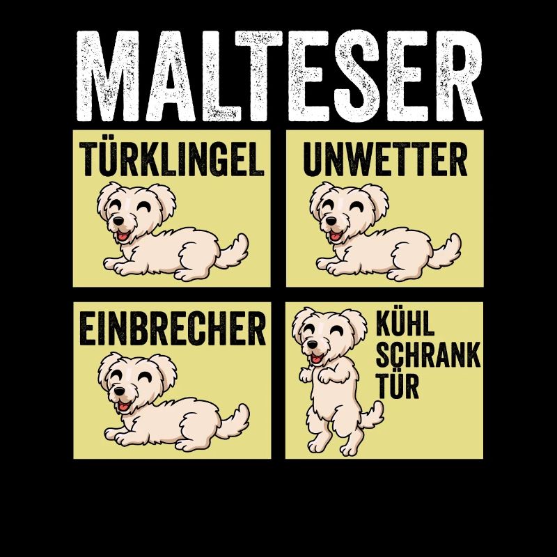 Hund Malteser
