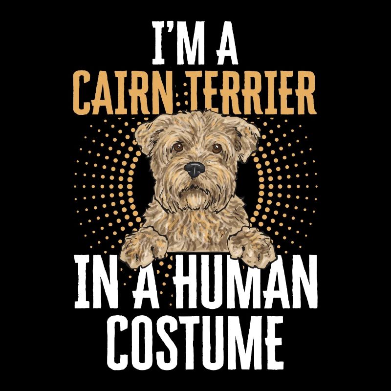 Cairn Terrier Chien