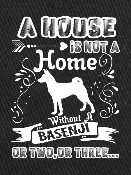 Basenji Home Without Basenji