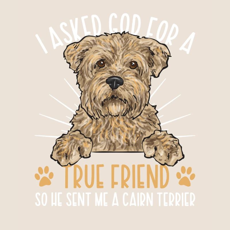 Cairn Terrier Chien