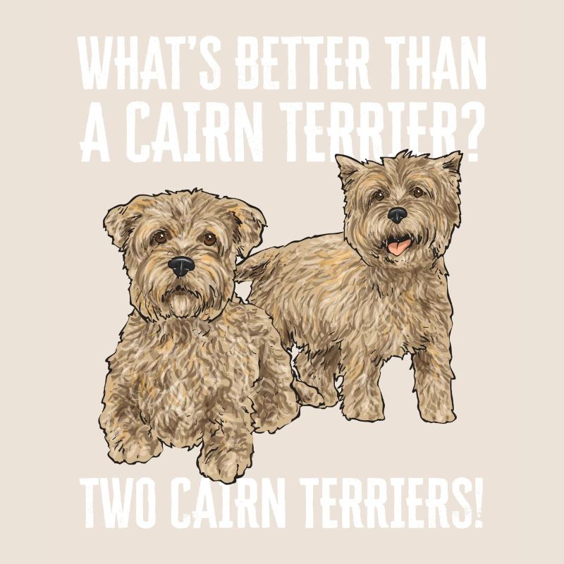Cairn Terrier Chien