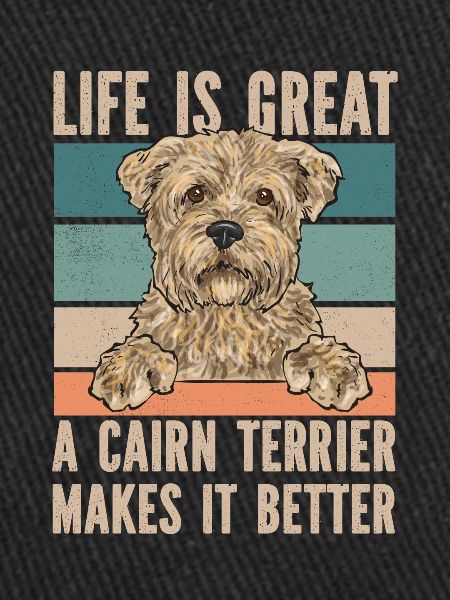 Cairn Terrier Chien