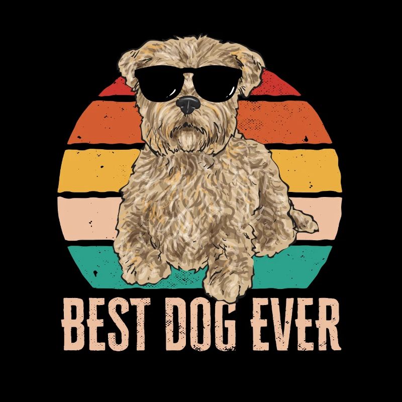 Cairn Terrier Chien