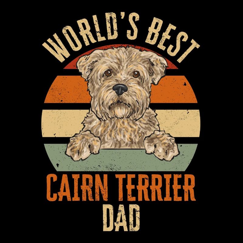 Cairn Terrier Chien