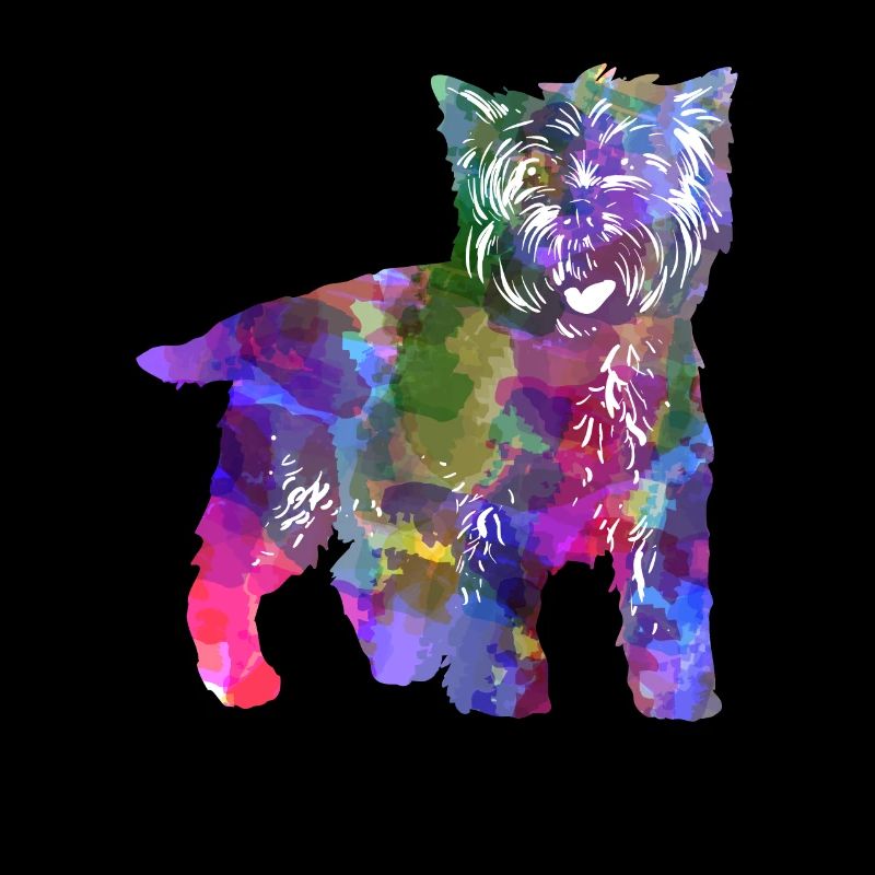 Cairn Terrier Chien