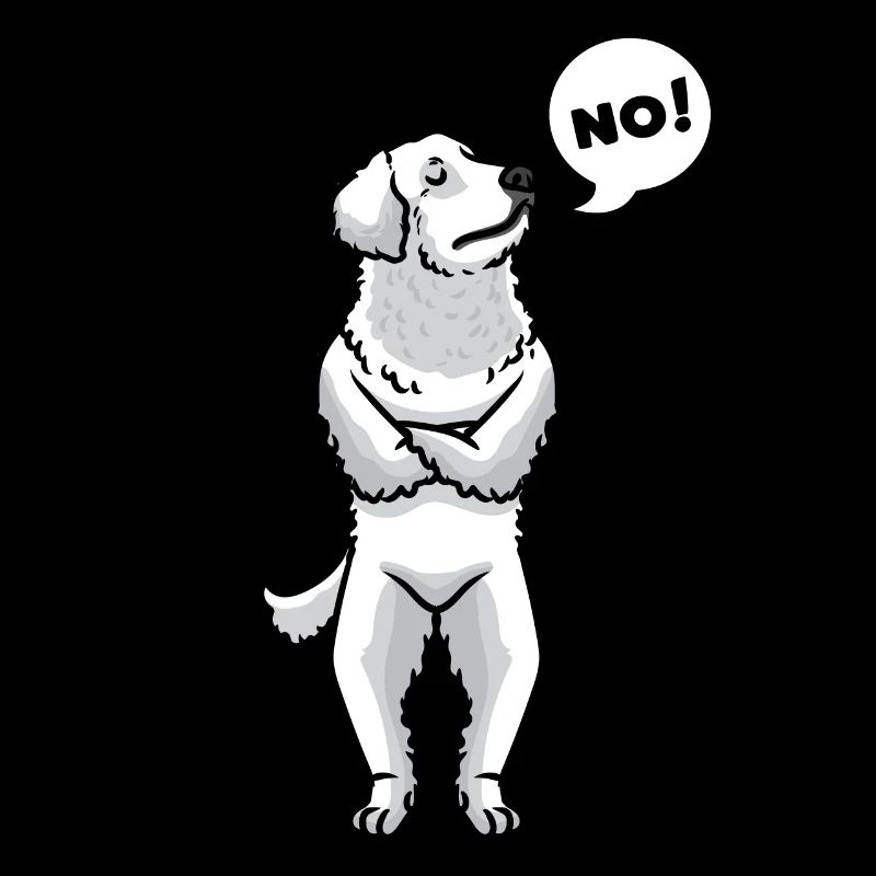 Chien Kuvasz