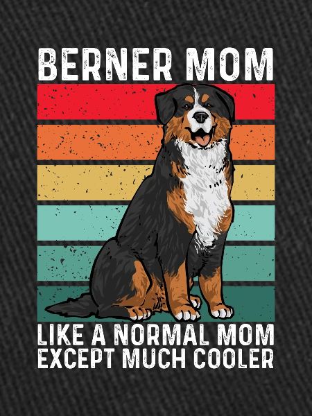Bouvier bernois
