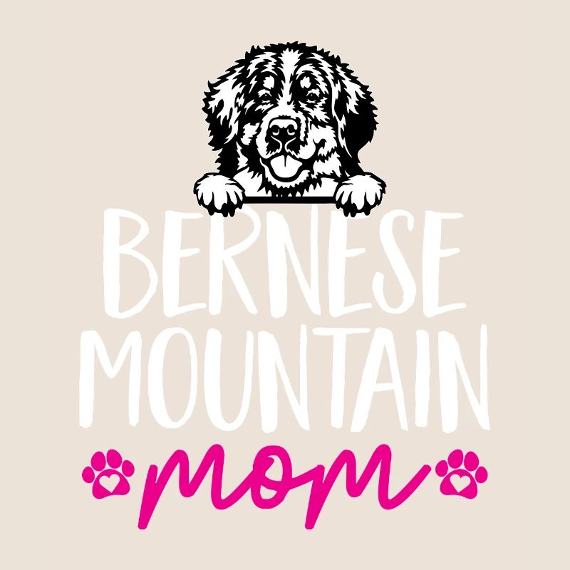 Bouvier bernois