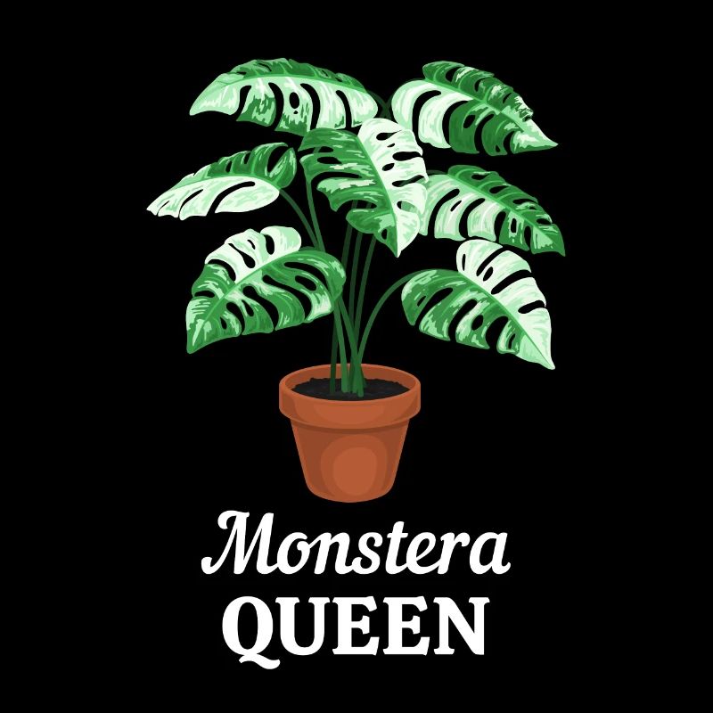 Monstera Queen