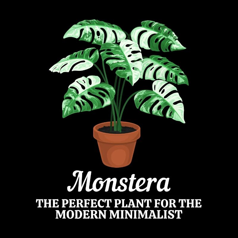 Monstera Modern Minimalist