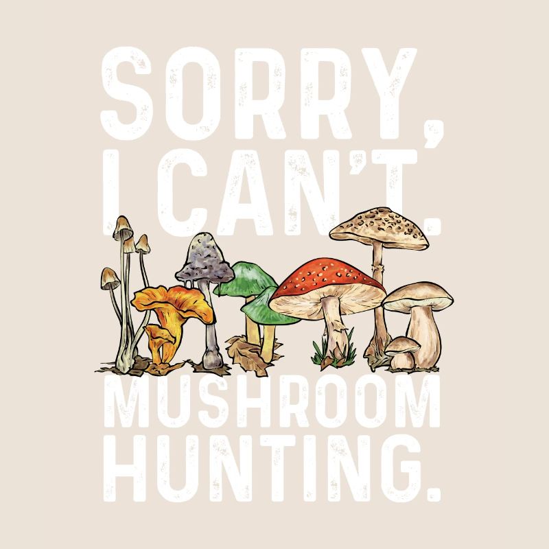 Chasse aux champignons, champignons, morilles, cueillette de champignons, cueillette de champignons
