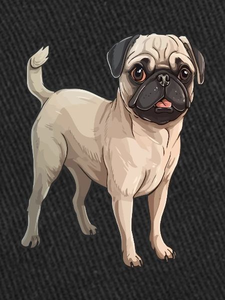 Boxer Chien mignon