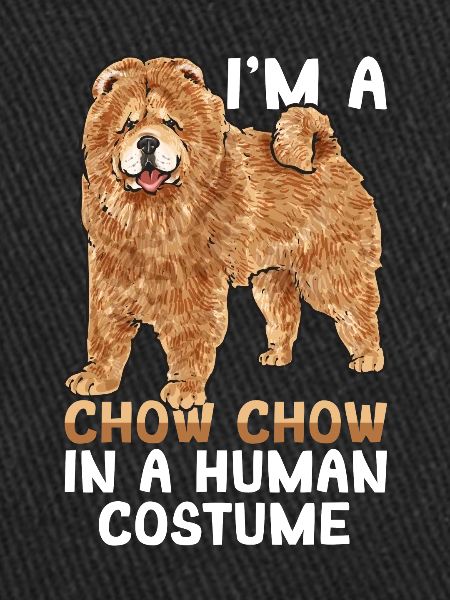 Chow Chow Dog