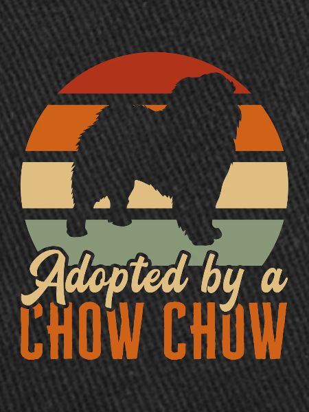 Chow Chow Chien