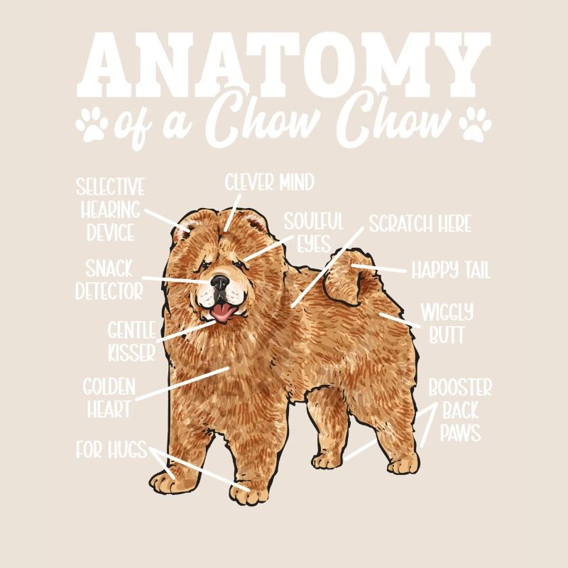 Chow Chow Chien