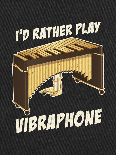 Vibraphone Percussion Marimba Musiciens