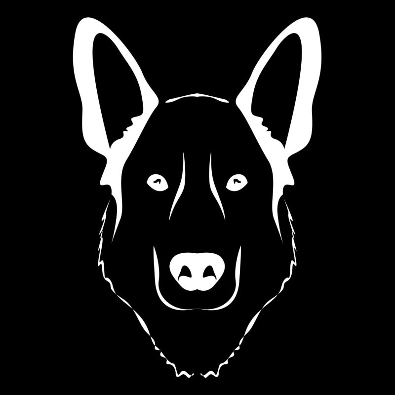 Chiens de berger blancs face aux chiens