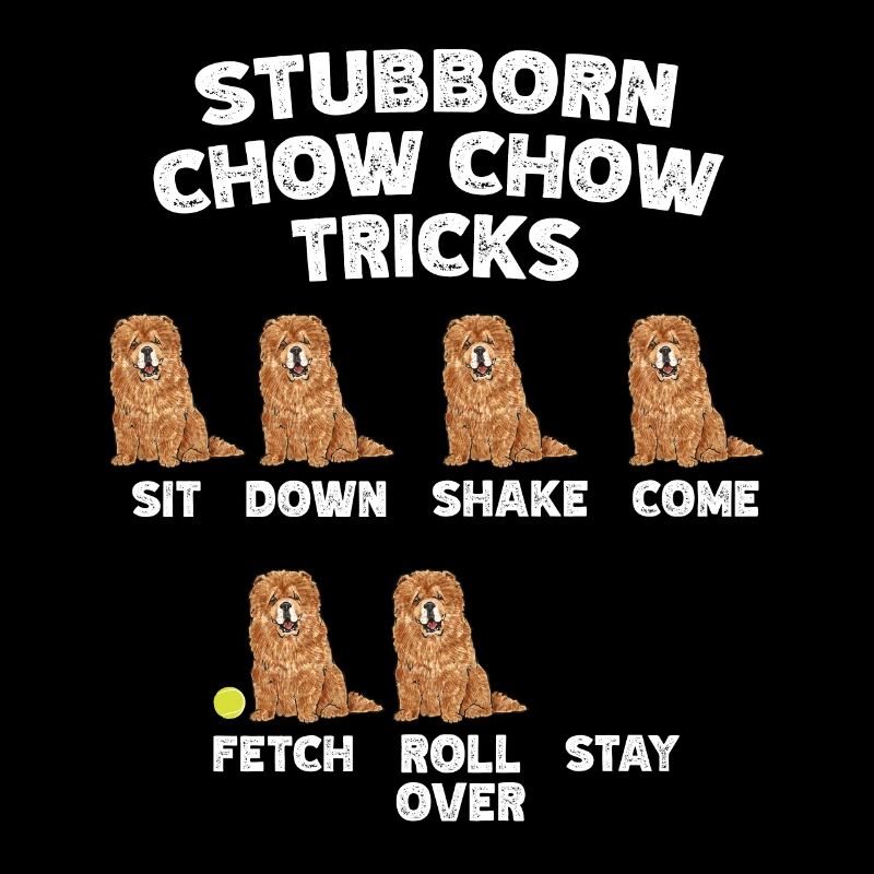 Chow Chow Chien