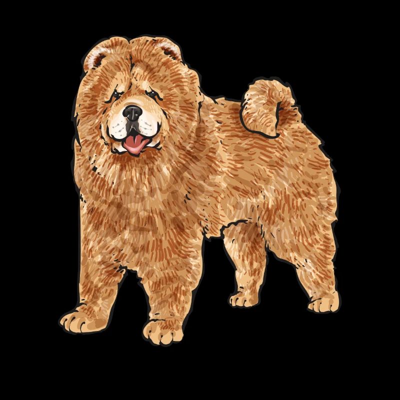 Chow Chow Hund