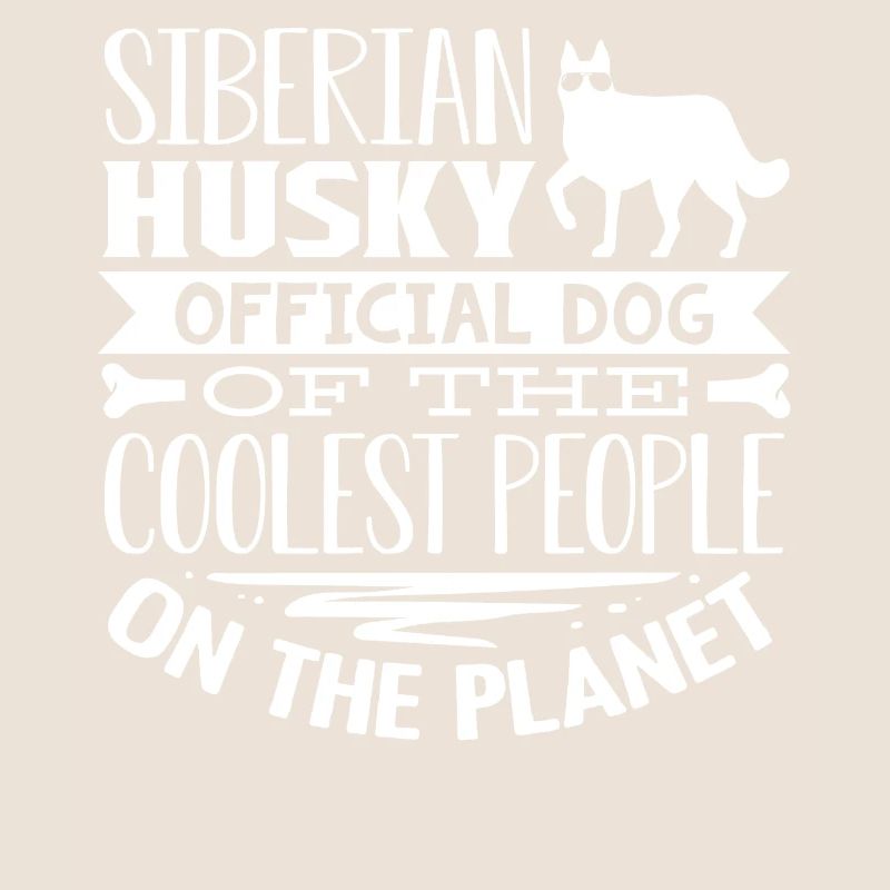 Husky sibérien