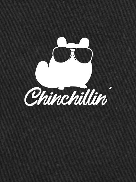 Chinchilla