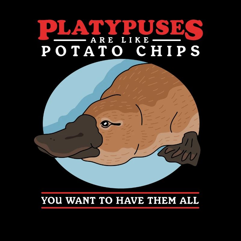 Platypus Platypus Platypus Gift