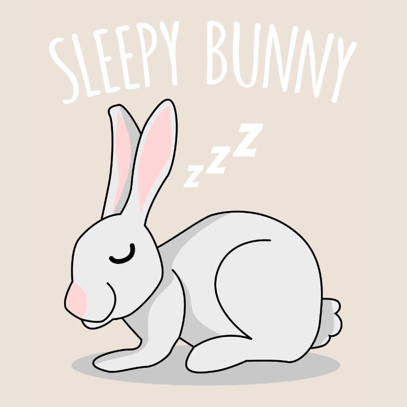 Lapin Lapin endormi