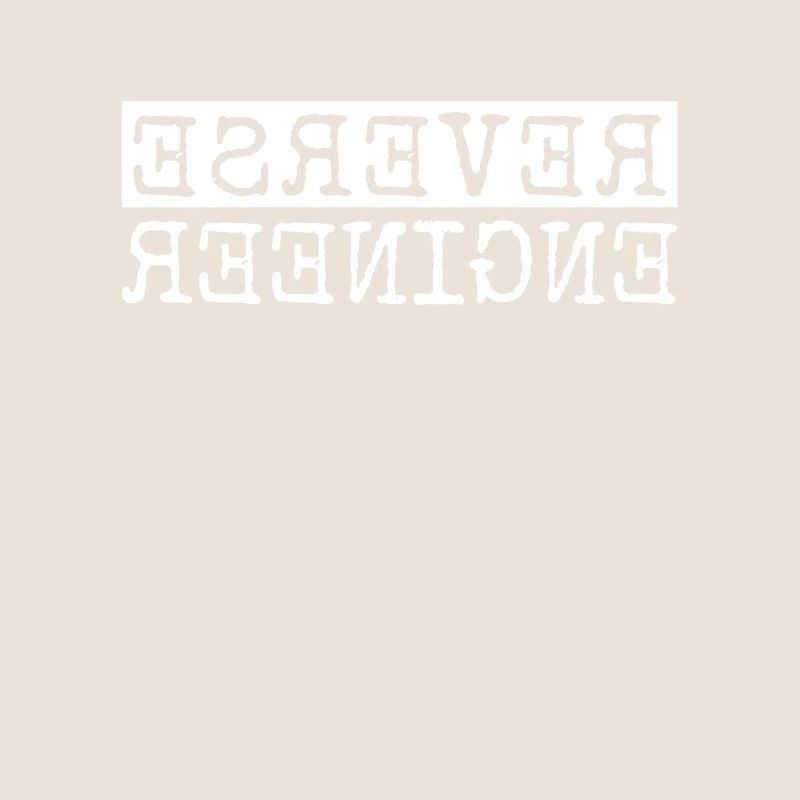 Reverse Engineer Softwareingenieur Developer