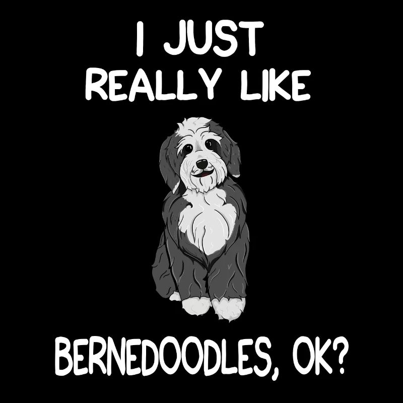 I Just Really Like Bernedoodles