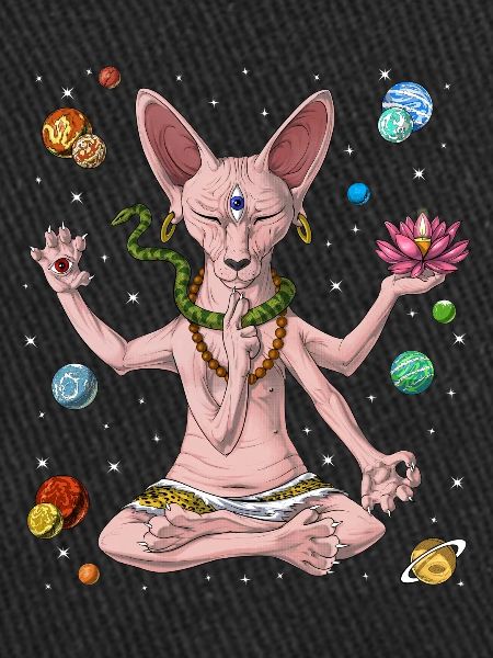 Méditation Chat Sphynx