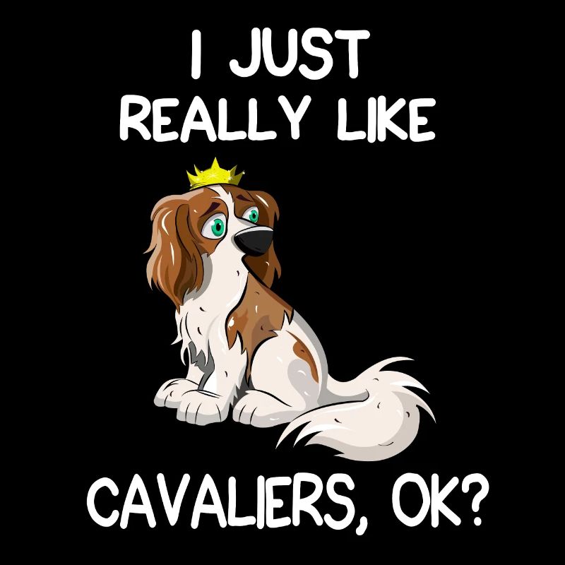 I Just Really Like Cavaliers