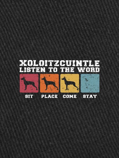 Xoloitzcuintle écouter la parole