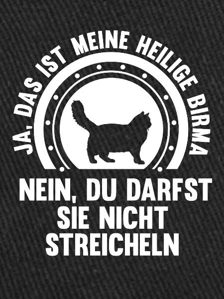 Heilige Birma Katze