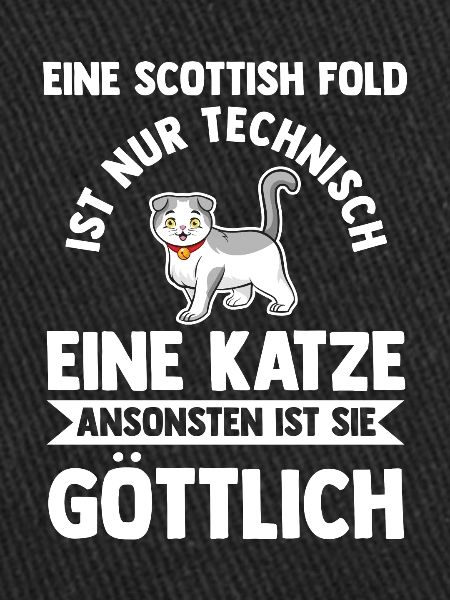 Scottish Fold Katze