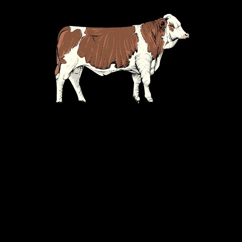 Fleckvieh Ier